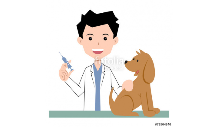 Očkovanie psov a mačiek proti besnote